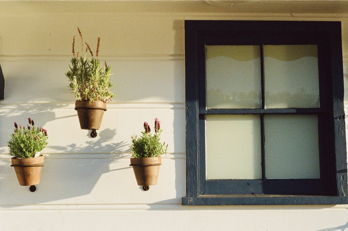 How to Flawlessly Decorate Your Windows During Bank Holidays?